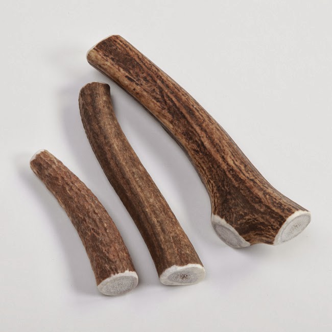 Fantastic Orvis coupon for your dog Dog Food Coupons