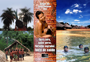Rio+Terra Livre dos Povos Indígenas