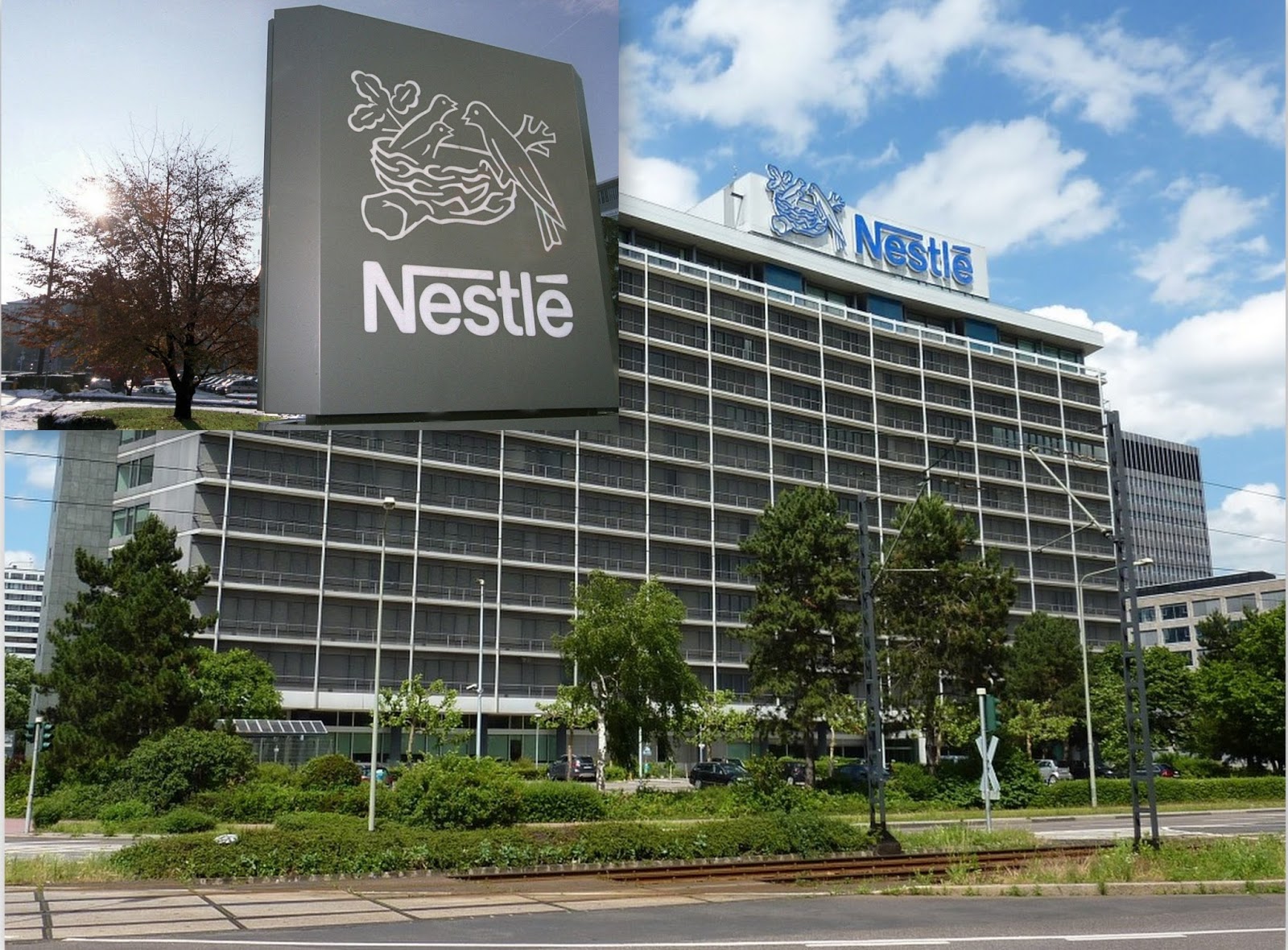 Nestlé is One the Most Evil Corporations in the World