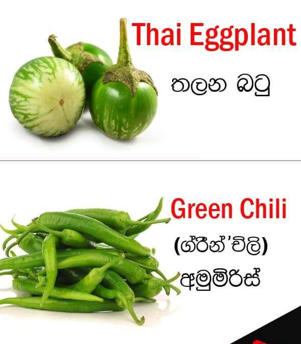 Vegetable names in English Sandy Foods Sri Lanka
