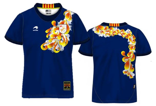 camiseta+catalunya+2013.JPG