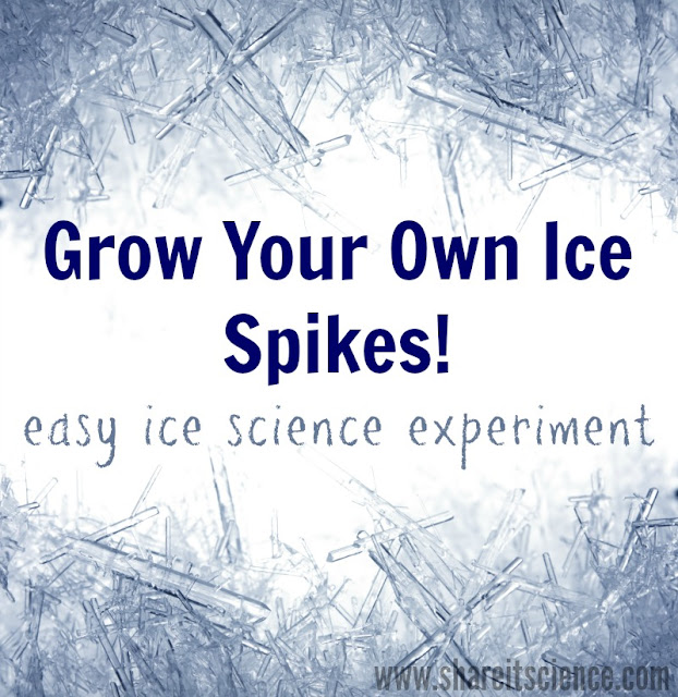 Share it! Science Ice Science Grow Your Own Ice Spikes!