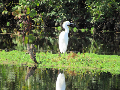 Gray Lodge Wildlife Area