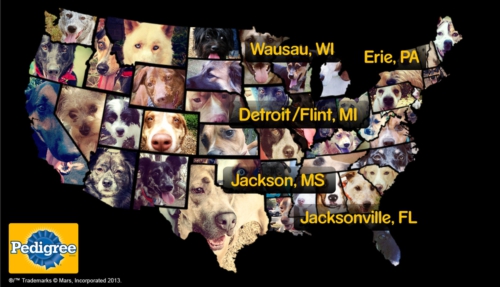 Pedigree Feeding Chart