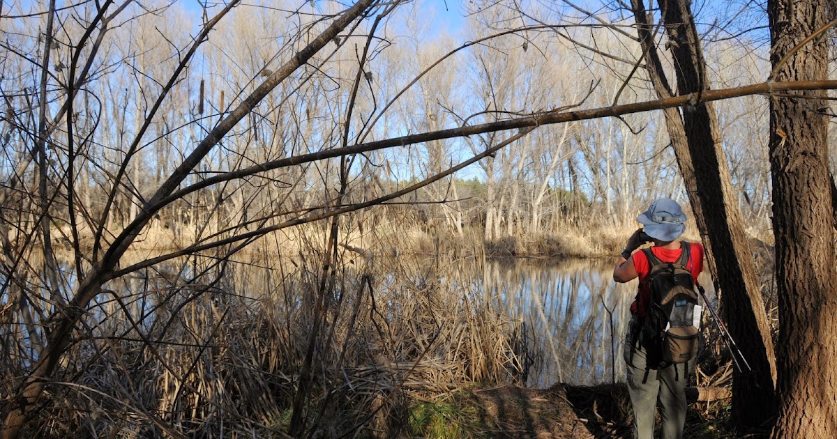 Arizona Hiking JAIL TRAIL RIVER WALK