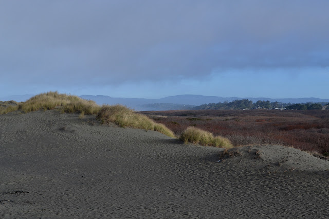 Mad River in its flood plain