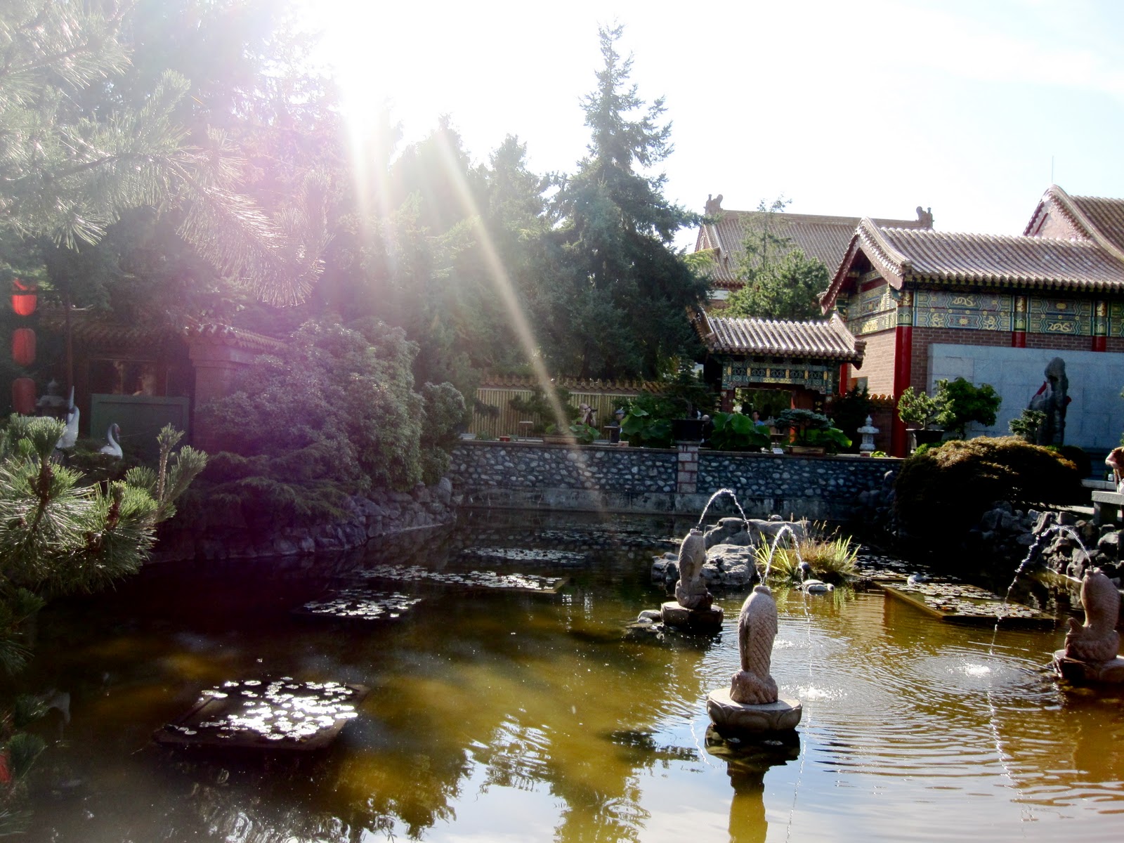 pond