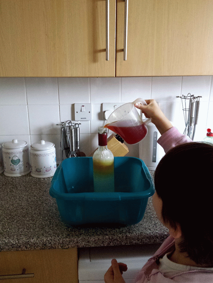 Amelia's Garden Project