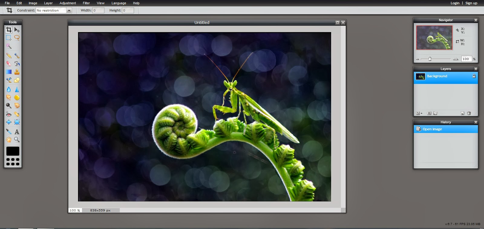 Strider scribe (1055) - pixl