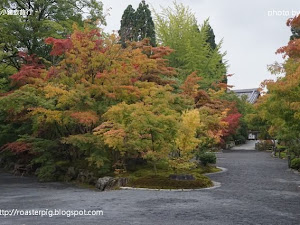 朋友於2014年10月初往關西旅遊，據根朋友的實地所見，京都嵐山、清水寺清水舞台、奈良公園都是綠葉，暫時來說估計11月才紅葉見頃。永觀堂則已經看到紅葉，雖然為數不多，但其中數棵已經全紅。 如果10月去京都又想去賞楓，就一定要去永觀堂， 門票要600yen 。     現時紅葉情況...