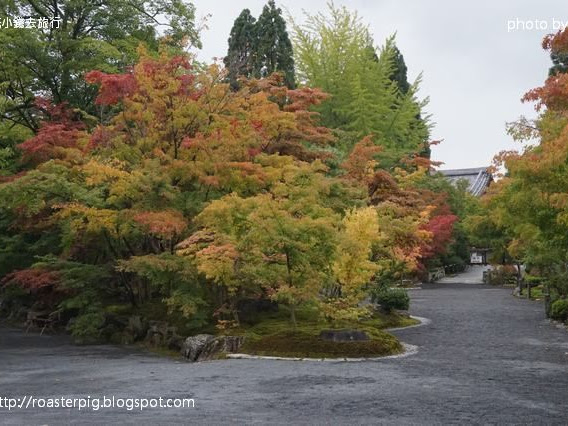 2014年10月京都奈良紅葉速報