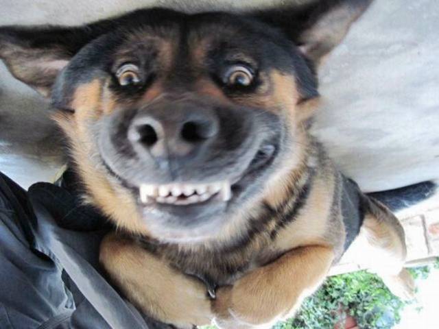 Picdump-Ritemail-042.jpg