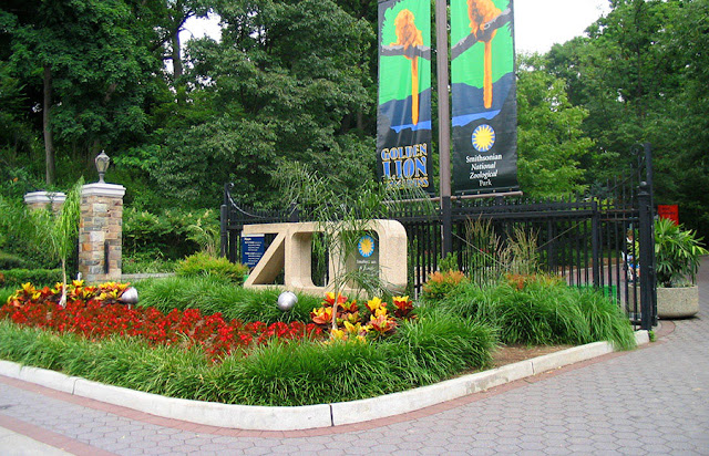Passeio no Smithsonian National Zoological Park em Washington Passeio no Smithsonian National Zoological Park em Washington