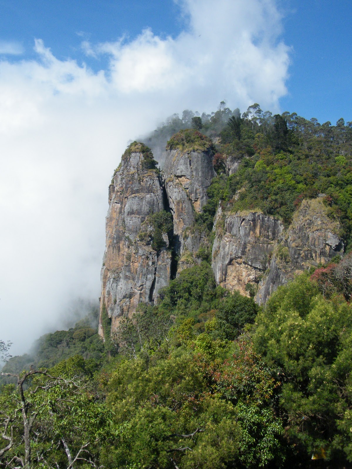 KODAIKANAL TRAVEL VIEWS PILLAR ROCK KODAIKANAL