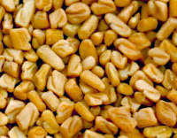 Utilisations culinaires des graines de fenugrec