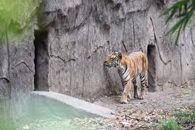 Rajiv Gandhi Zoological Park Rajiv Gandhi Zoological Park