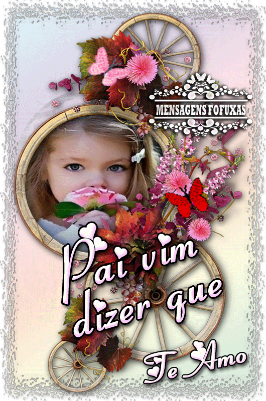 paidizer.gif