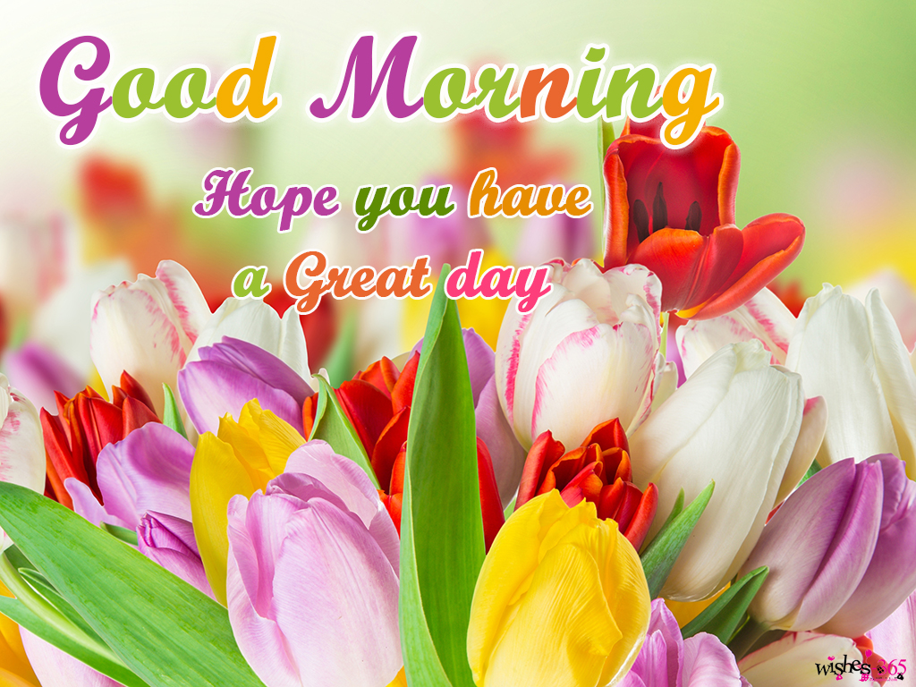 Poetry and Worldwide Wishes: Good morning image with tulips heart ...