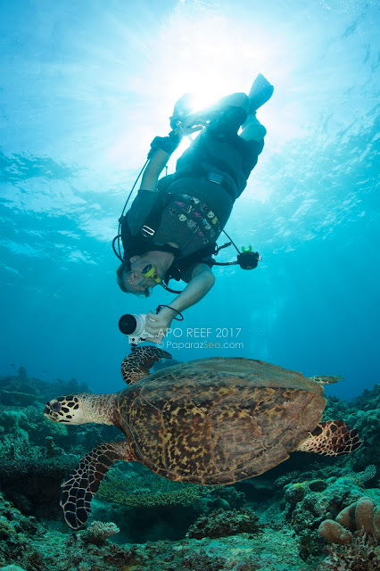 Apo Reef, Jun V Lao, Underwater Photography PaparazSea, Scuba Diving, Philippines