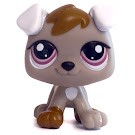 Littlest Pet Shop Petriplets Puppy (#1877) Pet