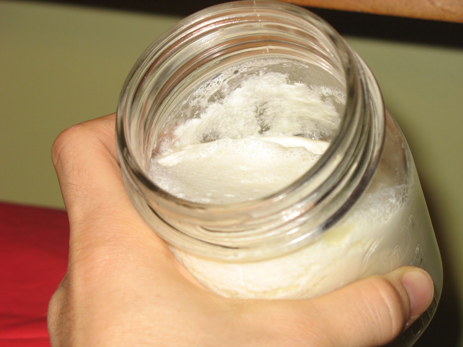 Newfashioned family recipes Think Greek yogurt is really good but