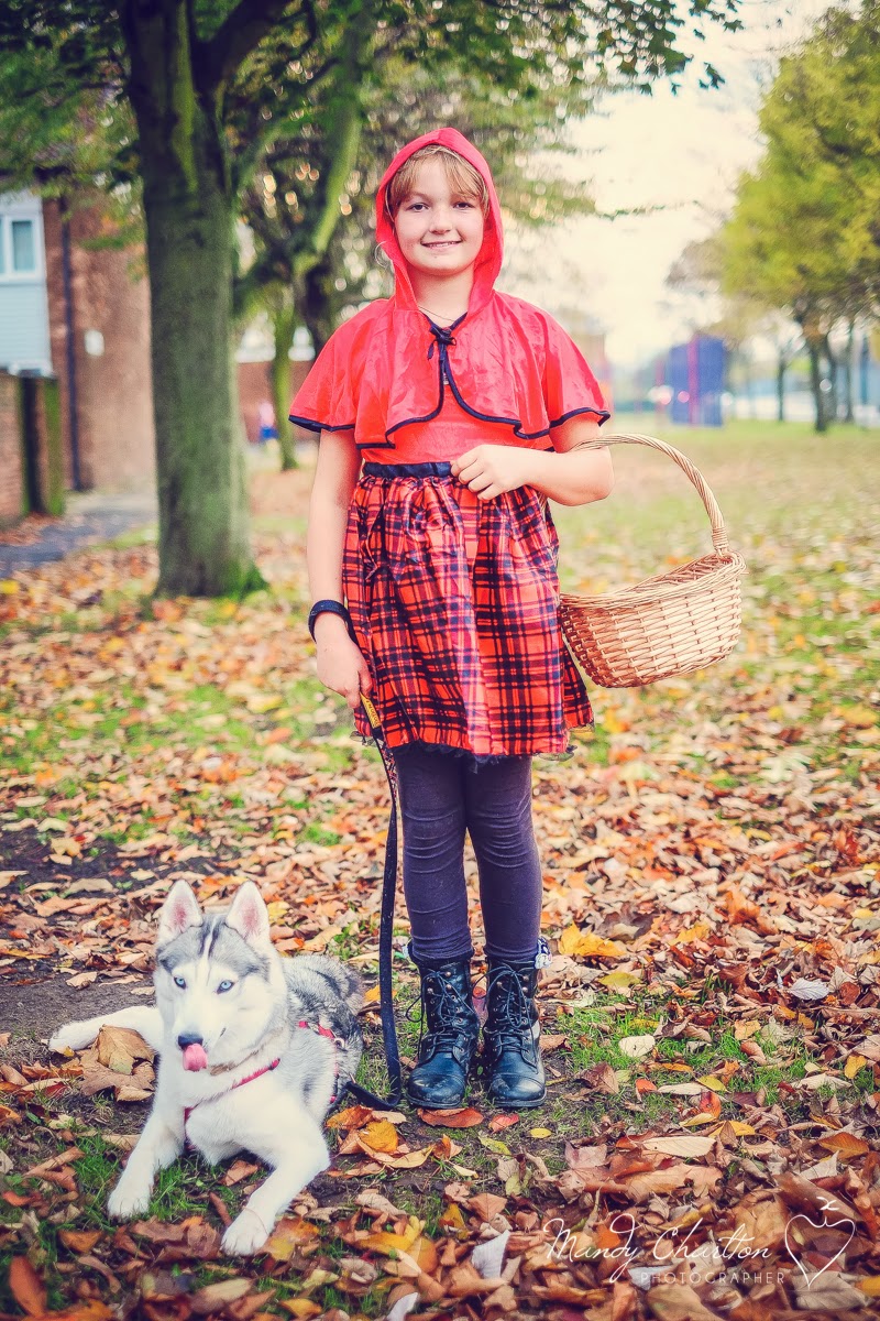 red riding hood and the wolf halloween costume, dressing up, husky