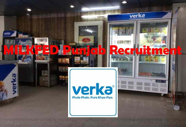MILKFED Punjab Recruitment MILKFED Punjab Recruitment
