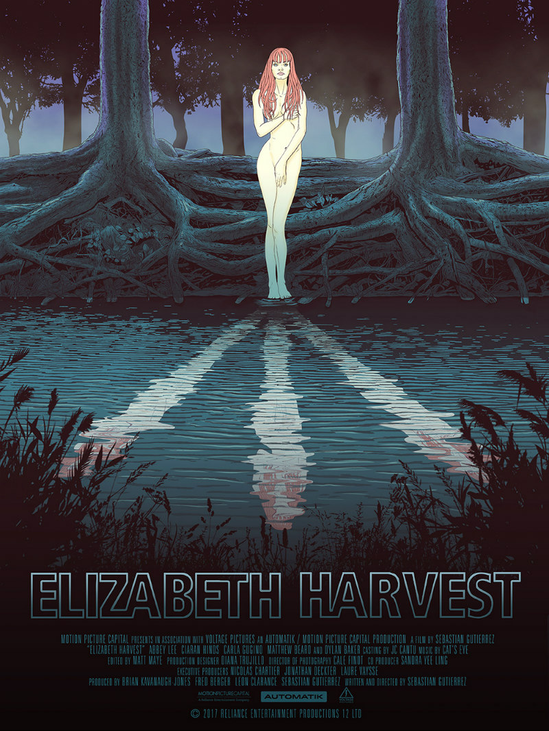 elizabeth harvest movie poster