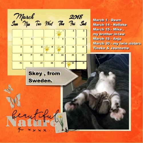 Nelleke's March 2018 calendar