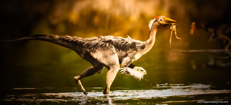 Museo de Paleontología de Castilla la Mancha (MUPA). Tierra de Dinosaurios