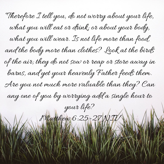 Matthew 6:25-27