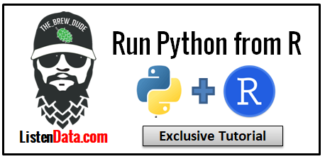 Run Python in R