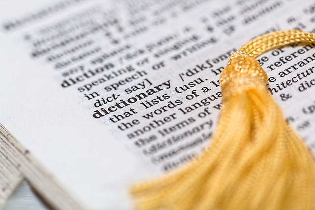 Dictionary book