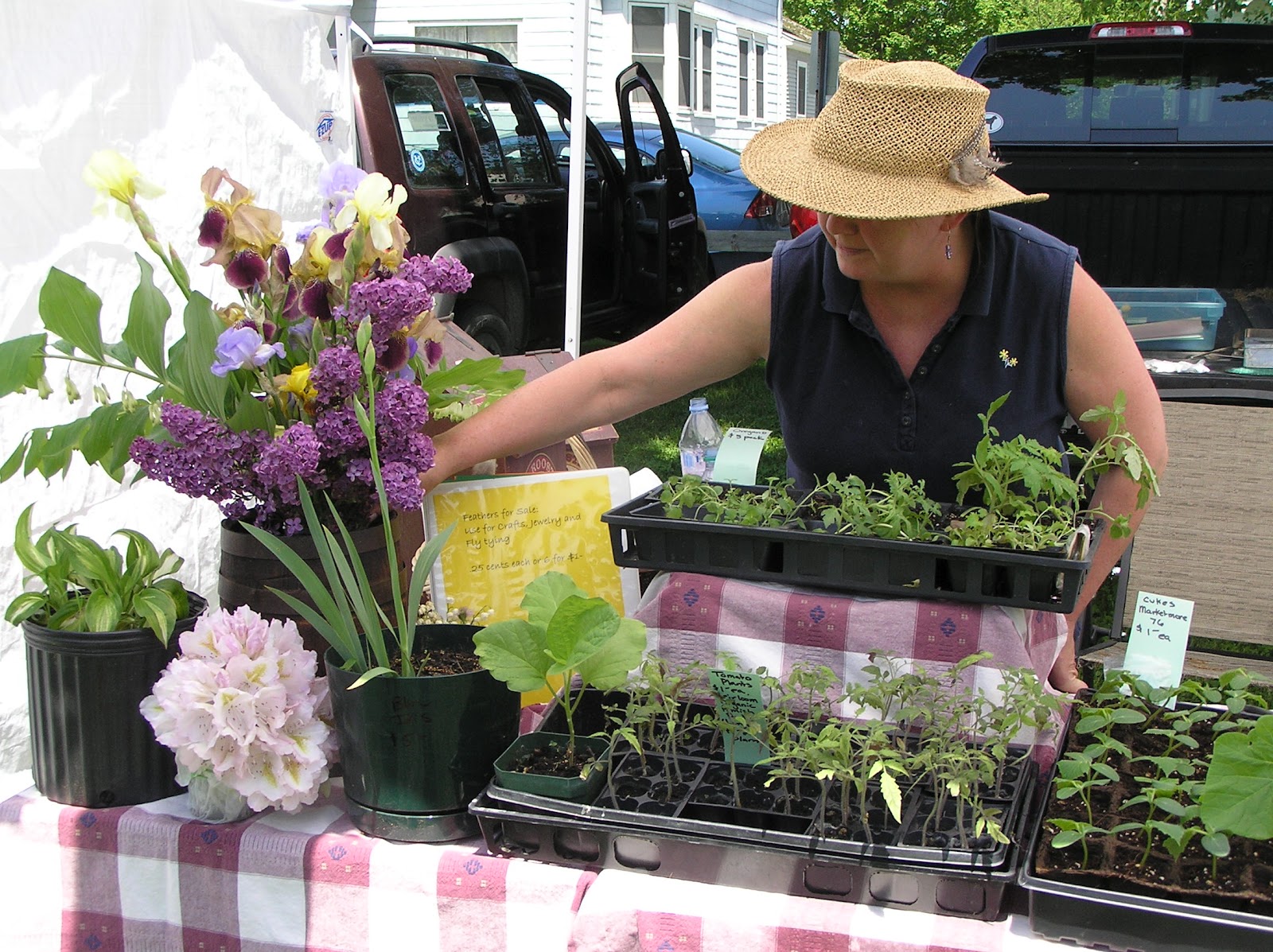 Windsor Farmers' Market Opening Day at Windsor Farmers' Market