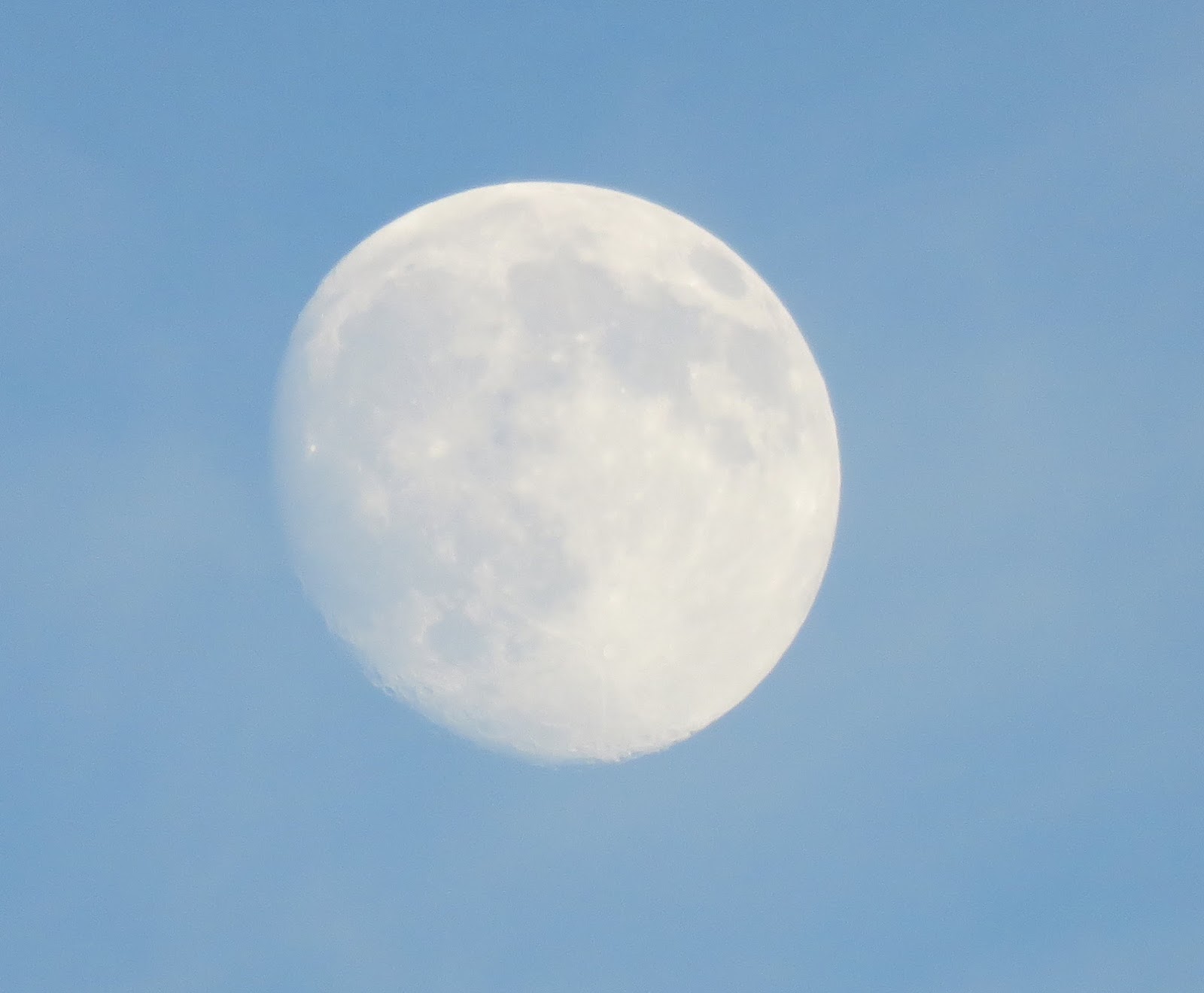 Narrowboat Armadillo Moon, spoon and June.