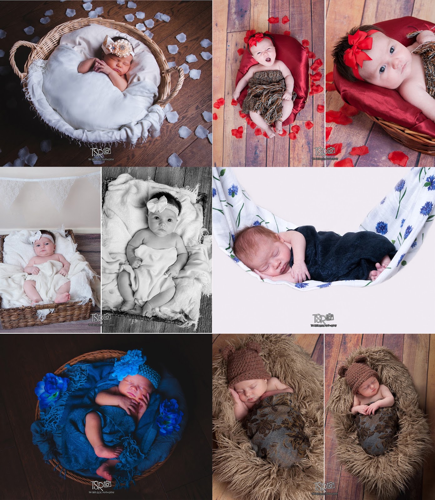 Tina Smith Reeve Photography