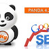 Google Panda SEO Make your Website Panda Proof 2016, 2017