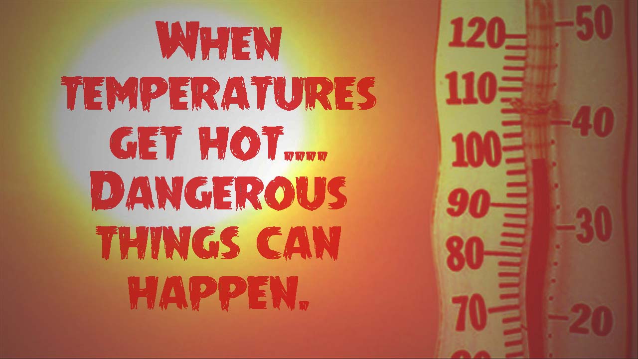 The Stun Gun Girl Too many babies die in hot cars