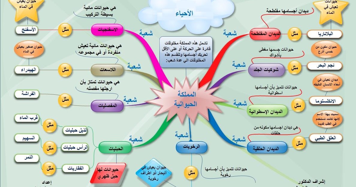 تفسيراتي هي بشر من مملكة الحيوان