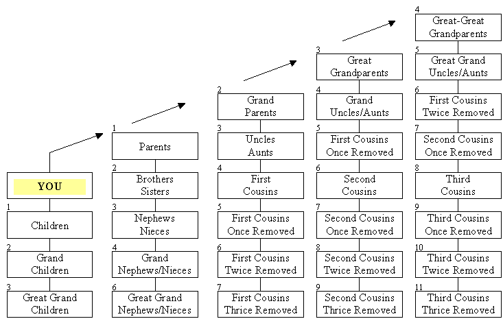 Relationship Degree Chart