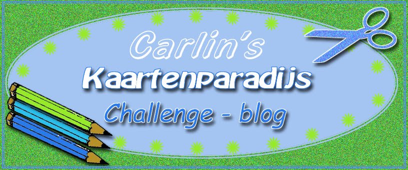 Carlin's Challenge Blog