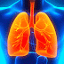 Plant Compound Found to Reverse Lung Damage Associated with COPD