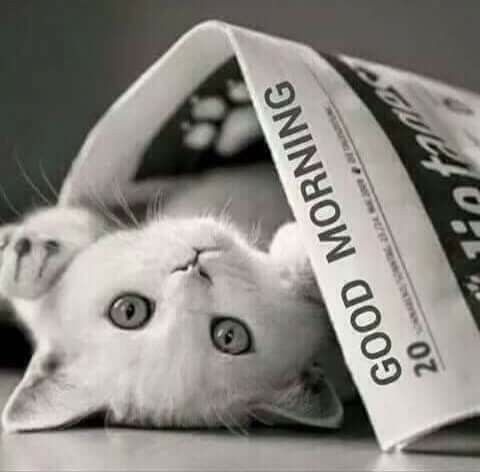 inspirational good morning messages