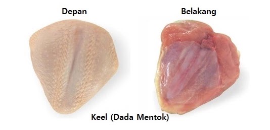 Arti Potongan Ayam McD Drumstick Thigh Keel Rib Wing  Guntursatya.com