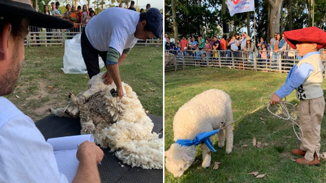 Fiesta del Cordero Pesado en Sarandí del Yí - duraznodigital.uy