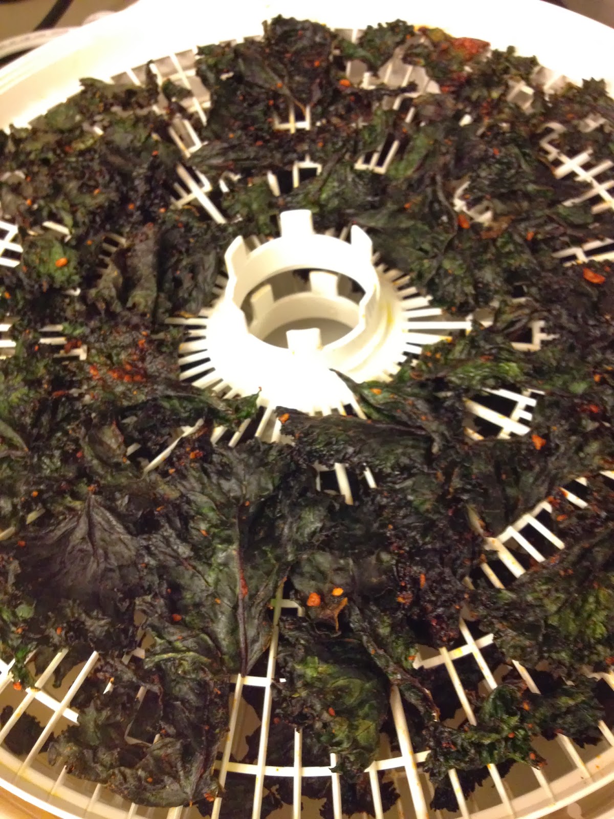 Feeding Ger Sasser Smoked Paprika Kale Chips