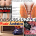 Obat Kampung untuk Penyakit WASIR AMBEIEN thumbnail