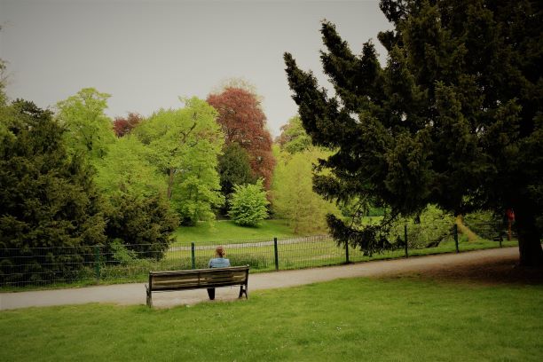 One day in Antwerp | City Park One day in Antwerp | City Park