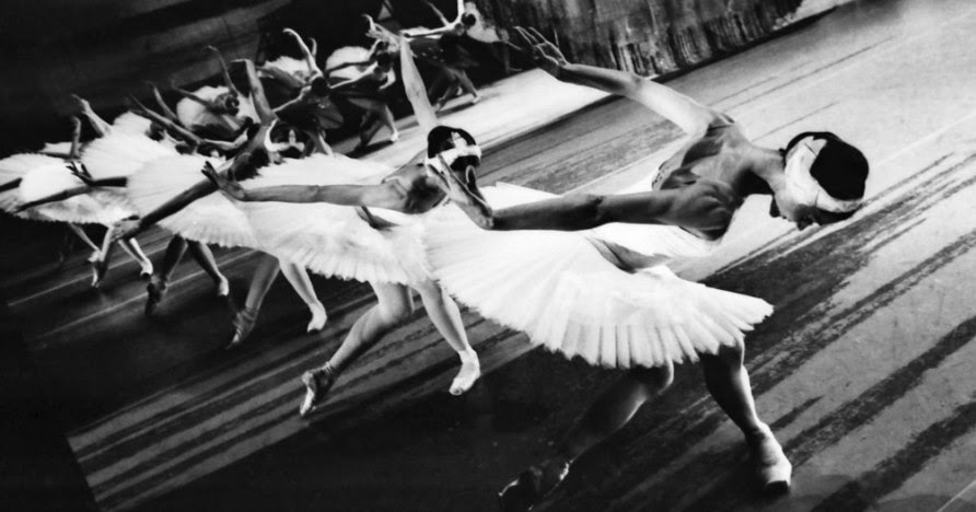 Zsazsa Bellagio Like No Other Ballet Beautiful