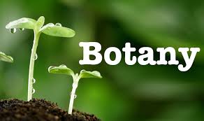 botany,Test Paper for Various Medical Entrance Examinations BOTANY,scc,ssc,scceducation,botany notes,free study material,